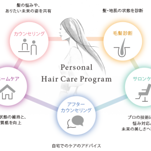 VEIN_personal_haircare